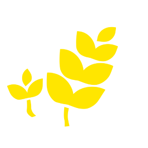 Organic Grains